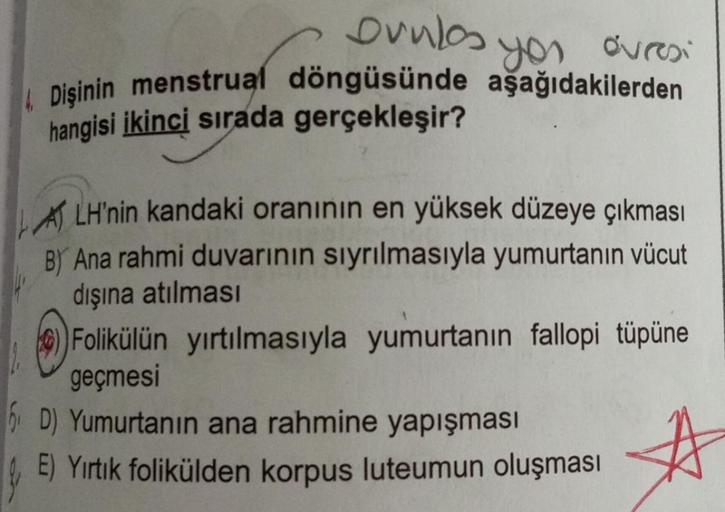 Dunlos
you
4. Dişinin menstrual döngüsünde aşağıdakilerden
hangisi ikinci sırada gerçekleşir?
évresi
ALH'nin kandaki oranının en yüksek düzeye çıkması
B) Ana rahmi duvarının sıyrılmasıyla yumurtanın vücut
dışına atılması
Folikülün yırtılmasıyla yumurtanın 