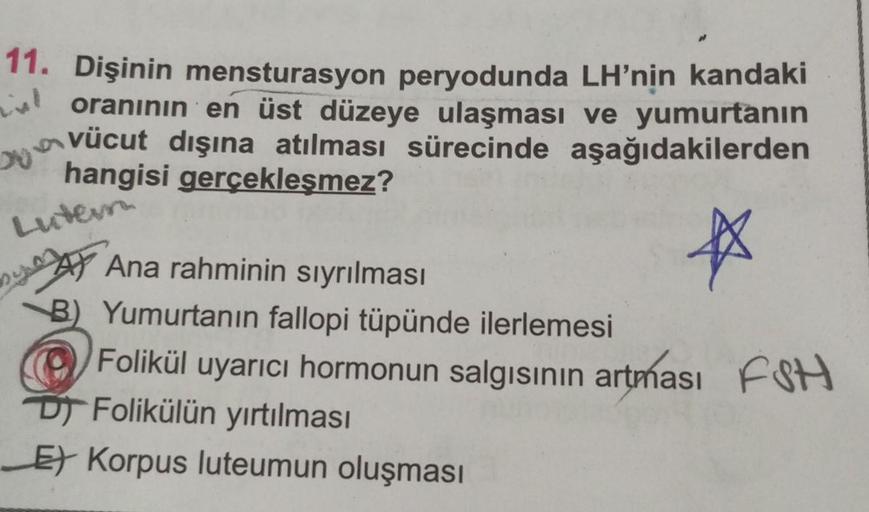 wil
11. Dişinin mensturasyon peryodunda LH'nin kandaki
oranının en üst düzeye ulaşması ve yumurtanın
vücut dışına atılması sürecinde aşağıdakilerden
hangisi gerçekleşmez?
Lutem
*
Ana rahminin sıyrılması
B) Yumurtanın fallopi tüpünde ilerlemesi
Folikül uyar