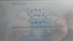 Aşağıda bir DNA molekülünde bulunan bazı nükleotidler ve bu nüideotidlerin
şekilleri şematize edilmiştir.
eo12118
#121
Smeo##1211892 incon 121180 neme#1211892e
Benemeot#1211892enol#121189meol#123
2
Şema üzerinde numaralarla gösterilen yapılarla ilgili aşağıda verilen ifadelerden hangisi yanlış
A) DNA'ya adini 2 numaralı yapı verirken, 7 numaralı yapıya adini 4 numaralı molekül verir.
B) DNA molekülündeki 1 ve 2 numaralı yapılanın sayısı aynı türe ait canlılarda farklılık gösterebilir
C) DNA eşlenirken tek zincirdeki nükleotidleri bir arada tutan 5 numaralı bağlar kopar
D) DNA'nin tek zincirinde 3 ve 6 numaralı organik bazlar arasında bağ kurulmaz