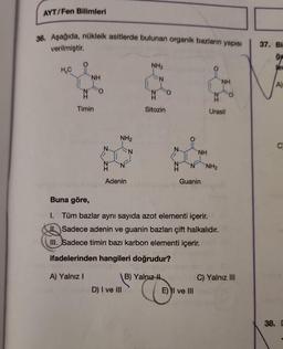 AYT/Fen Bilimleri
36. Aşağıda, nükleik asitlerde bulunan organik bazların yapısı
verilmiştir.
NH₂
N
$$$
Sitozin
H₂C
N
NH
Timin
FO
NH₂
N
Adenin
N
D) I ve III
B) Yalnız
C
NH
Guanin
Buna göre,
I. Tüm bazlar aynı sayıda azot elementi içerir.
Sadece adenin ve guanin bazları çift halkalıdır.
III. Sadece timin bazı karbon elementi içerir.
ifadelerinden hangileri doğrudur?
A) Yalnız I
E) I ve III
H
Urasil
NH₂
NH
O
C) Yalnız III
37. Bi
gw
Ver
A)
C
38. D