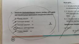 7.
94
Bitkilerde fotofosforilasyon sonucu üretilen ATP aşağı-
daki biyokimyasal tepkimelerin hangisinde kullanılır?
A) Nişasta hidrolizi
BY Aminoasit sentezi
Hücresel solunum
D) Glikozun aktif taşınması
Protein hidrolizi
1
1
loo
Buna göre,
I. 1. fanusta mumun s
nın bitmesinden Kay
II. 2. fanusta mun yar
kinin yapraklarında
katılır.
ill. 2. fanusda mum s
fotosentez yapmaya
ifadelerinden hangile
Ay Yalnız I
D) Il yo'll