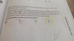 2
Melek mahalle muhtarı ile görüşerek evinin bulunduğu sokağın kaldırımlarına kedi ve köpek-
ler için mama kapları koymuştur.
kediler için, diğerine 20'şer metre aralıklarla köpekler için kaldırımların başında ve sonunda
Melek 240 metre uzunluğundaki birbirine paralel kaldırımlardan birine 15'er metre aralıklarla
karşılıklı birer tane olacak şekilde mama kapları koymuştur. Melek daha sonra karşılıklı aynı
hizada bulunan mama kaplarının yanlarına birer tane su kabı koymuştur.
Buna göre Melek kaç tane su kabi koymuştur?
3) 6
8
10
LGS HASAT MATEMATİK