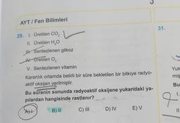 AYT/Fen Bilimleri
29. 1. Üretilen CO₂
II. Üretilen H₂O
II. Sentezlenen glikoz
IV. Üretilen O₂
V. Sentezlenen vitamin
Karanlık ortamda belirli bir süre bekletilen bir bitkiye radyo-
aktif oksijen verilmiştir.
Bu sürenin sonunda radyoaktif oksijene yukarıdaki ya-
pılardan hangisinde rastlanır?
AH
B) II
C) III
D) IV
E) V
31.
Yuk
miş
Bu
1.
11.