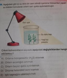 39. Aşağıdaki gibi içi su dolu bir cam silindir içerisine fotosentez yapan
su bitkileri konularak ortam sarı ışıkla aydınlatılmıştır.
Sarı ışık
Su dolu kap
- Yeşil su
yosunu
Çıkan kabarcıkların sayısını aşağıdaki değişikliklerden hangis
etkilemez?
A) Ortamna hidrojensülfür (H₂S) eklemek
B) Ortam sıcaklığını artırmak
C) Ortamı beyaz ışıkla aydınlatmak
D) Ortama heterotrof canlı koymak
E) Işık kaynağını uzaklaştırmak