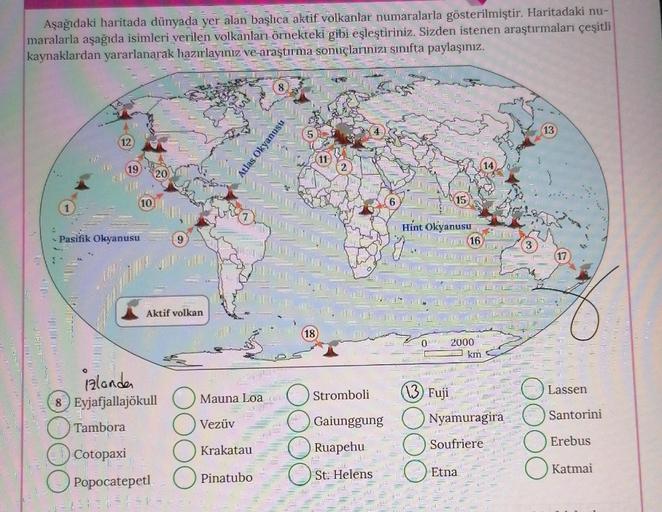 Aşağıdaki haritada dünyada yer alan başlıca aktif volkanlar numaralarla gösterilmiştir. Haritadaki nu-
maralarla aşağıda isimleri verilen volkanları örnekteki gibi eşleştiriniz. Sizden istenen araştırmaları çeşitli
kaynaklardan yararlanarak hazırlayınız ve