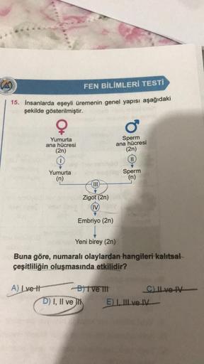 FEN BİLİMLERİ TESTİ
15. İnsanlarda eşeyli üremenin genel yapısı aşağıdaki
şekilde gösterilmiştir.
Yumurta
ana hücresi
(2n)
A) Lve th
Yumurta
(n)
Zigot (2n)
(IV)
Embriyo (2n)
-B) I've 111
D) I, II ve
o
Yeni birey (2n)
Buna göre, numaralı olaylardan hangiler