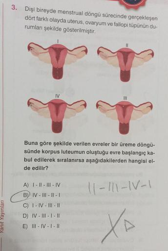 Yanıt Yayınları
3. Dişi bireyde menstrual döngü sürecinde gerçekleşen
dört farklı olayda uterus, ovaryum ve fallopi tüpünün du-
rumları şekilde gösterilmiştir.
IV
Buna göre şekilde verilen evreler bir üreme döngü-
sünde korpus luteumun oluştuğu evre başlan