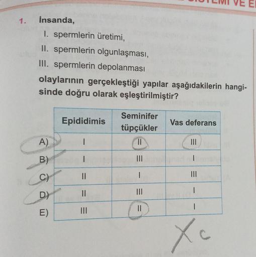 1.
İnsanda,
1. spermlerin üretimi,
II. spermlerin olgunlaşması,
III. spermlerin depolanması
olaylarının gerçekleştiği yapılar aşağıdakilerin hangi-
sinde doğru olarak eşleştirilmiştir?
A)
B)
C)
D)
E)
Epididimis
1
I
||
||
|||
Seminifer
tüpçükler
||
|||
1
||