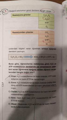 en
7-
CAP
7. Oksijenli solunumun genel denklemi ile ilgili olarak:
Reaksiyona girenler
Reaksiyondan çıkanlar
C₂H₁₂O
CH₂O
ATP
0₂
C6H₁2O6 + 60₂
12
CO₂
H₂O
ATP
Isı
yukarıdaki bilgileri veren öğretmen tahtaya aşağıdaki
denklemi yazmıştır.
6CO₂ + 6H₂O + ATP + I