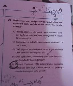 4-st
=+
3
2
29. Replikasyon olayı ve replikasyon sırasında görev alan
enzimlerle ilgili, aşağıda verilen ifadelerden hangisi
yanlıştır?
A
A) Helikaz enzimi, azotlu organik bazlar arasındaki hidro-
jen bağlarını kopararak DNA molekülünün iki ipliğini
birbirinden ayırır.
B) Helikaz enziminin DNA ipliklerini açması sırasında ATP
harcanmaz,
1930
C) DNA ipliğinde meydana gelen hataların onarılmasında
DNA polimeraz enzimi görev alır.
D) DNA ligaz enzimi, birbirini takip eden DNA parçacıkla-
rini fosfodiester bağıyla birleştirir.
E) Oaryot hücrelerde DNA polimerazların, sentezlen-
mekte olan yeni ipliğe nükleotit ekleme hızı, prokaryot
hücrelerdekine göre daha yavaştır.
Mg
1930
465
Ma
+2