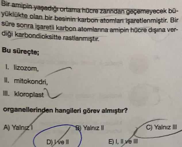 Bir amipin yaşadığı ortama hücre zarından geçemeyecek bü-
yüklükte olan bir besinin karbon atomlanı işaretlenmiştir. Bir
süre sonra işaretli karbon atomlarına amipin hücre dışına ver-
diği karbondioksitte rastlanmıştır.
Bu süreçte;
I. lizozom,
II. mitokond