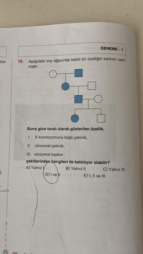 inin
8
L
G
20
IRBIM DENEME - 1
19. Aşağıdaki soy ağacında belirli bir özelliğin kalıtımı veril-
miştir.
Buna göre taralı olarak gösterilen özellik,
I. X kromozomuna bağlı çekinik,
II. otozomal çekinik,
III. otozomal baskın
şekillerinden hangileri ile kalıt