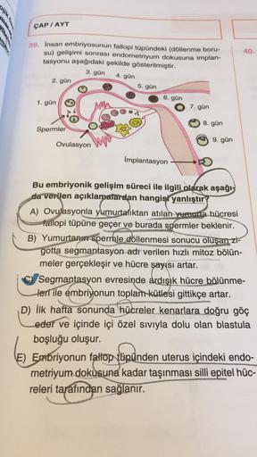 ÇAP / AYT
39. İnsan embriyosunun fallopi tüpündeki (döllenme boru-
su) gelişimi sonrası endometriyum dokusuna implan-
tasyonu aşağıdaki şekilde gösterilmiştir.
3. gün 4. gün
2. gün
1. gün
Spermler
Ovulasyon
5. gün
6. gün
İmplantasyon
7. gün
8. gün
9. gün
B