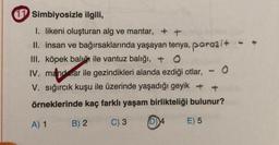 11 Simbiyosizle ilgili,
I. likeni oluşturan alg ve mantar, ++
II. insan ve bağırsaklarında yaşayan tenya, parazi+ -
III. köpek balığı ile vantuz balığı,+ O
IV. mandarar ile gezindikleri alanda ezdiği otlar,
V. sığırcık kuşu ile üzerinde yaşadığı geyik + +
örneklerinde kaç farklı yaşam birlikteliği bulunur?
B) 2
C) 3
E) 5
A) 1