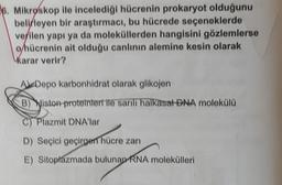 6. Mikroskop ile incelediği hücrenin prokaryot olduğunu
belirleyen bir araştırmacı, bu hücrede seçeneklerde
verilen yapı ya da moleküllerden hangisini gözlemlerse
o/hücrenin ait olduğu canlının alemine kesin olarak
karar verir?
A Depo karbonhidrat olarak glikojen
B) Histon proteinleri ile sarili halkasal DNA molekülü
C) Plazmit DNA'lar
D) Seçici geçirgen hücre zarı
E) Sitoplazmada bulunan RNA molekülleri