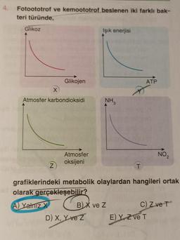 Fotoototrof ve kemoototrof beslenen iki farklı bak-
teri türünde,
Glikoz
X
Atmosfer karbondioksidi
v
Glikojen
Z
Atmosfer
oksijeni
Işık enerjisi
NH3
D) X, Y ve Z
grafiklerindeki metabolik olaylardan hangileri ortak
olarak gerçekleşebilir?
A Yalnız X
BX ve Z
ATP
NO 2
C) Z ve T
E) Y Z ve T