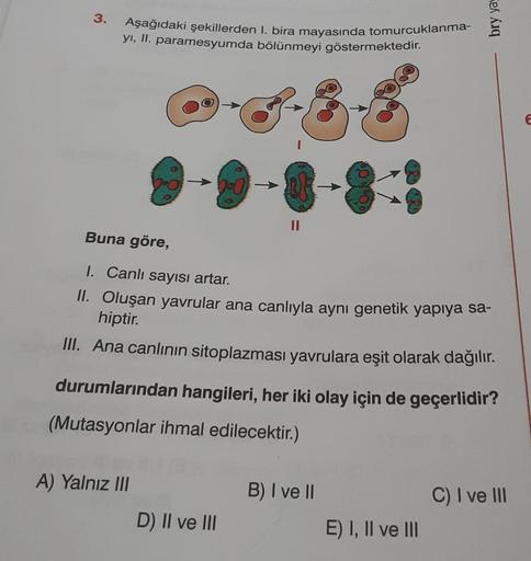 3.
Aşağıdaki şekillerden I. bira mayasında tomurcuklanma-
yı, II. paramesyumda bölünmeyi göstermektedir.
0.0
A) Yalnız III
DK
D) II ve III
||
Buna göre,
1. Canlı sayısı artar.
II. Oluşan yavrular ana canlıyla aynı genetik yapıya sa-
hiptir.
III. Ana canlın