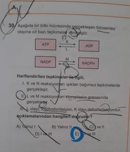 30 Aşağıda bir bitki hücresinde gerçekleşen fotosentez
olayına ait bazı tepkimeler verilmiştir.
ATP
NADP
A) Yalnız I
K
M
D) I ve III
Harflendirilen tepkimeler ile ngili,
I. K ve N reaksiyonları ışıktan bağımsız tepkimelerde
gerçekleşir. V
ADP
II. L ve M reaksiyonları ktoroplastin_granasında
gerçekleşir.
kleşir.
IML olayi, fotofosforilasyon, K olayLdefosforilasyondur.
açıklamalarından hangileri doğrudur?
NADPH
B) Yalnız II
C) ve II
E) , live III