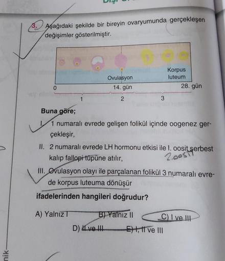 nik-
3. Aşağıdaki şekilde bir bireyin ovaryumunda gerçekleşen
değişimler gösterilmiştir.
0
1
Ovulasyon
14. gün
2
3
B) Yalnız II
D) ve !!!
Buna göre;
1 numaralı evrede gelişen folikül içinde oogenez ger-
çekleşir,
II. 2 numaralı evrede LH hormonu etkisi ile