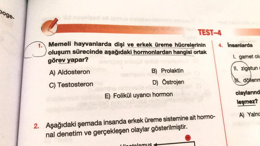 poge-
Memeli hayvanlarda dişi ve erkek üreme hücrelerinin
oluşum sürecinde aşağıdaki hormonlardan hangisi ortak
görev yapar?
ngeo enüqür qollst
A) Aldosteron
C) Testosteron
B) Prolaktin
nu
D) Östrojen
TEST-4
niedrie
E) Folikül uyarıcı hormon
2. Aşağıdaki ş