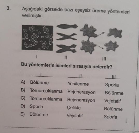 3.
Aşağıdaki görselde bazı eşeysiz üreme yöntemleri
verilmiştir.
8.00.00
S03
*
1
|||
Bu yöntemlerin isimleri sırasıyla nelerdir?
Bölünme
IL
Yenilenme
A) Bölünme
B) Tomurcuklanma
Rejenerasyon
C) Tomurcuklanma Rejenerasyon
D) Sporla
E)
Çelikle
Vejetatif
Spor