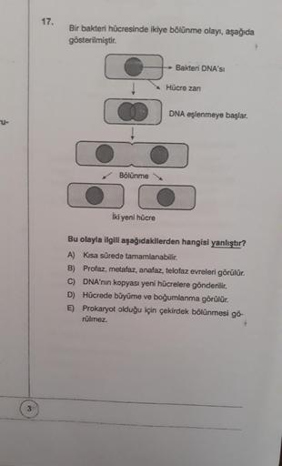 S
3
17.
Bir bakteri hücresinde ikiye bölünme olayı, aşağıda
gösterilmiştir.
Bölünme
Bakteri DNA'sı
Hücre zarı
DNA eşlenmeye başlar.
İki yeni hücre
Bu olayla ilgili aşağıdakilerden hangisi yanlıştır?
A) Kısa sürede tamamlanabilir.
B) Profaz, metafaz, anafaz