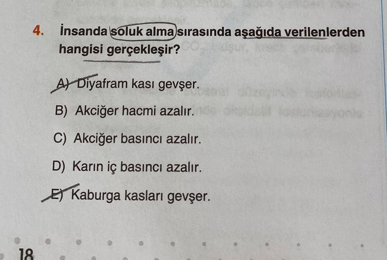 4. İnsanda soluk alma sırasında aşağıda verilenlerden
hangisi gerçekleşir?
18
A Diyafram kası gevşer.
B) Akciğer hacmi azalır.
C) Akciğer basıncı azalır.
D) Karın iç basıncı azalır.
Kaburga kasları gevşer.