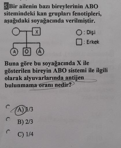 5.Bir ailenin bazı bireylerinin ABO
sitemindeki kan grupları fenotipleri,
aşağıdaki soyağacında verilmiştir.
0
(
X
(A
Buna göre bu soyağacında X ile
gösterilen bireyin ABO sistemi ile ilgili
olarak alyuvarlarında antijen
bulunmama oranı nedir?
A) 1/3
B) 2/