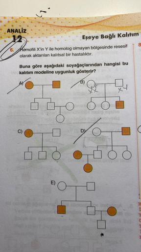 ANALİZ
Eşeye Bağlı Kalıtım
Ho
6. Hemofili X'in Y ile homolog olmayan bölgesinde resesif
olarak aktarılan kalıtsal bir hastalıktır.
Buna göre aşağıdaki soyağaçlarından hangisi bu
Ne kalıtım modeline uygunluk gösterir?
B)
C)
ald nchrist
E)
O
AY DY
ð
8
r
Y
C