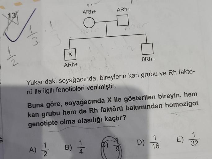 13
Us
YN
ARh+
OT
Z
ORh-
AM
ge
Yukarıdaki soyağacında, bireylerin kan grubu ve Rh faktö-
rü ile ilgili fenotipleri verilmiştir.
A)
Buna göre, soyağacında X ile gösterilen bireyin, hem
kan grubu hem de Rh faktörü bakımından homozigot
genotipte olma olasılığı