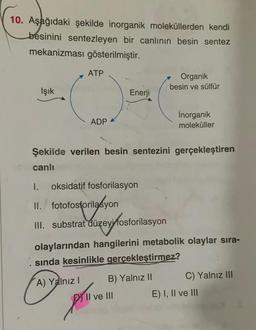 10. Aşağıdaki şekilde inorganik moleküllerden kendi
besinini sentezleyen bir canlının besin sentez
mekanizması gösterilmiştir.
Işık
ATP
ADP
Enerji
I. oksidatif fosforilasyon
II. fotofosforilasyon
III. substrat düzeyi fosforilasyon
Organik
besin ve sülfür
Şekilde verilen besin sentezini gerçekleştiren
canlı
Il ve III
Inorganik
moleküller
olaylarından hangilerini metabolik olaylar sıra-
sında kesinlikle gerçekleştirmez?
A) Yalnız I
B) Yalnız II
C) Yalnız III
E) I, II ve III