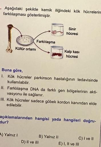 . Aşağıdaki şekilde kemik iliğindeki kök hücrelerin
farklılaşması gösterilmiştir.
Kültür ortamı
dur?
Farklılaşma
Buna göre,
1. Kök hücreler parkinson hastalığının tedavisinde
kullanılabilir.
II. Farklılaşma DNA da farklı gen bölgelerinin akti-
vasyonu ile