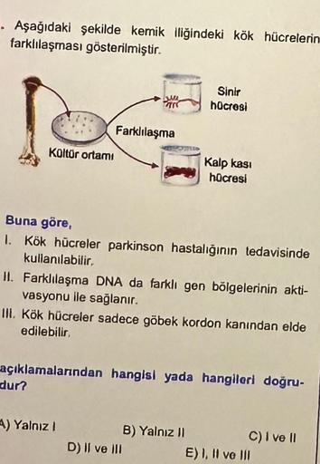 . Aşağıdaki şekilde kemik iliğindeki kök hücrelerin
farklılaşması gösterilmiştir.
Kültür ortamı
dur?
Farklılaşma
Buna göre,
1. Kök hücreler parkinson hastalığının tedavisinde
kullanılabilir.
II. Farklılaşma DNA da farklı gen bölgelerinin akti-
vasyonu ile 