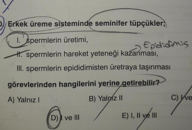 Erkek üreme sisteminde seminifer tüpçükler;
1. spermlerin üretimi,
H. spermlerin hareket yeteneği kazanması,
III. spermlerin epididimisten üretraya taşınması
görevlerinden hangilerini yerine getirebilir?
A) Yalnız I
B) Yalniz II
6
Epididimis
D) ve III
E) I