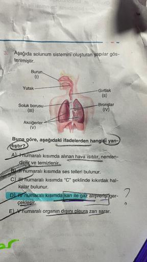 3.
SHO
pholf iasmiac! Hemories and foren
Aşağıda solunum sistemini oluşturan yapılar gös-
terilmiştir.
Burun.
(1)
Yutak
Soluk borusu
(III)
Akciğerler
(V)
Gırtlak
(11)
-Bronşlar
(IV)
Buna göre, aşağıdaki ifadelerden hangisi yan-
iştir?
A numaralı kısımda al