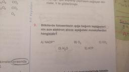 1206
CO₂
CO₂
02
kimeleri sırasında
2
Prf Yayınları
9.
yaz alışverişi yapmasını sağlayan sto-
malar, V ile gösterilmiştir.
Bitkilerde fotosentezin ışığa bağımlı tepkimeleri-
nin son elektron alıcısı aşağıdaki moleküllerden
hangisidir?
A) NADP+
D) H₂O
B) 0₂
E) ATP
C) CO₂
nde fotosis-
nul
De hi
ya
AT