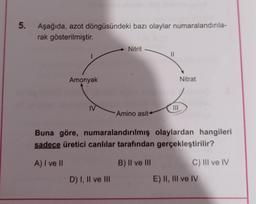 5.
Aşağıda, azot döngüsündeki bazı olaylar numaralandırıla-
rak gösterilmiştir.
Amonyak
IV
Nitrit
D) I, II ve III
Amino asit
11
|||
Nitrat
Buna göre, numaralandırılmış olaylardan hangileri
sadece üretici canlılar tarafından gerçekleştirilir?
A) I ve II
B) II ve III
C) III ve IV
E) II, III ve IV