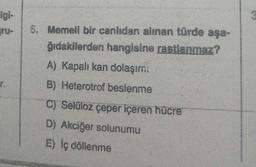 Igi-
ru-
r.
6. Memeli bir canlıdan alınan türde aşa-
ğıdakilerden hangisine rastlanmaz?
A) Kapalı kan dolaşımı
B) Heterotrof beslenme
C) Selüloz çeper içeren hücre
D) Akciğer solunumu
E) İç döllenme
3