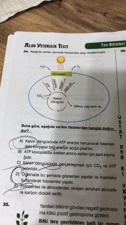 35.
ALAN YETERLİLİK TESTİ
34. Aşağıda verilen şemada fotosentez olayı özetlenmiştir.
H₂O
CO₂
ATP
Kloroplast
NADPH
NADP+
ADP+Pİ
Kalvin
Döngüsü
Fen Bilimleri
Glikoz, yağ asidi vb.
Buna göre, aşağıda verilen ifadelerden hangisi doğru-
dur?
36.
USTKT
A) Kalvin döngüsünde ATP enerjisi harcanarak besinler-
deki kimyasal bağ enerjisi açığa çıkartılır.
B) ATP kloroplastta üretilen amino asitler için azot kayna-
ğıdır.
C) Kalvin döngüsünün gerçekleşmesi için CO₂ ve ATP
yeterlidir.
D) Öglenada bu şemada gösterilen yapılar ve maddeler
kullanılarak fotosentez yapılır.
E Fotosentez ile atmosferden oksijen alınırken atmosfe-
re karbon dioksit verilir.
DER
K
i
y
A
y
1
Yandaki bitkinin gövdesi negatif geotropiz- M
ma kökü pozitif geotropizma gösterir.
Bitki ters çevrildikten belli bir zaman