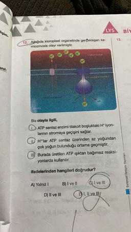 lişim-
anil-
12. Aşağıda kloroplast organelinde gerçekleşen ke-
miozmosis olayı verilmiştir.
Stroma
H
BACK BACK
A) Yalnız I
Tilakoit bosluk
H
D) II ve III
ATP sertaz kompleksi
Bu olayla ilgili,
1. ATP sentaz enzimi tilakoit boşluktaki H* iyon-
larının stromaya geçişini sağlar.
B) I ve II
ATP
H+'lar ATP sentaz üzerinden az yoğundan
çok yoğun bulunduğu ortama geçmiştir.
LYS
Burada üretilen ATP ışıktan bağımsız reaksi-
yonlarda kullanılır.
ifadelerinden hangileri doğrudur?
C) I ve III
EI, II ve III/
13.
BİY
Evrensel İletişim Yayınları