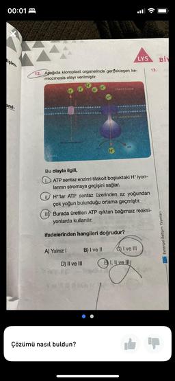 00:01
lişim-
anil-
12. Aşağıda kloroplast organelinde gerçekleşen ke-
miozmosis olayı verilmiştir.
H
Stroma
RECH
H
H
A) Yalnız I
MAD
Çözümü nasıl buldun?
Tilakoit hosbuk
Bu olayla ilgili,
ATP sentaz enzimi tilakoit boşluktaki H* iyon-
larının stromaya geçişini sağlar.
D) II ve III
H'lar ATP sentaz üzerinden az yoğundan
çok yoğun bulunduğu ortama geçmiştir.
ATP sertaz kompleksi
ATP
B) I ve II
Burada üretilen ATP ışıktan bağımsız reaksi-
yonlarda kullanılır.
ifadelerinden hangileri doğrudur?
LYS
I ve III
EI, II ve III/
13.
BİY
Evrensel İletişim Yayınları