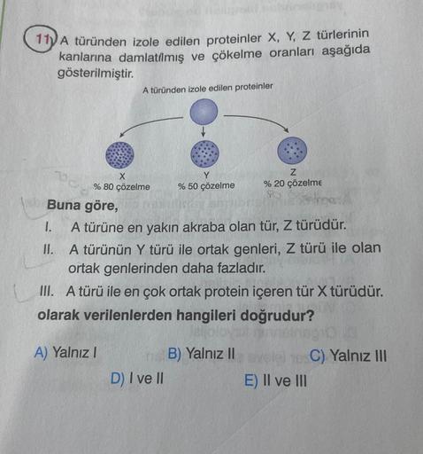 11 A türünden izole edilen proteinler X, Y, Z türlerinin
kanlarına damlatılmış ve çökelme oranları aşağıda
gösterilmiştir.
A türünden izole edilen proteinler
X
% 80 çözelme
A) Yalnız I
Y
% 50 çözelme
mer
Buna göre,
I.
A türüne en yakın akraba olan tür, Z t