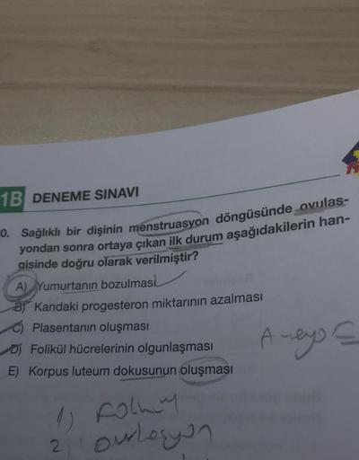 1B DENEME SINAVI
=0. Sağlıklı bir dişinin menstruasyon döngüsünde ovulas-
yondan sonra ortaya çıkan ilk durum aşağıdakilerin han-
gisinde doğru olarak verilmiştir?
A) Yumurtanın bozulmasi.
BKandaki progesteron miktarının azalması
Plasentanın oluşması
Folik