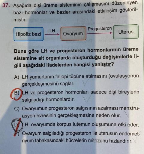 37. Aşağıda dişi üreme sisteminin çalışmasını düzenleyen
bazı hormonlar ve bezler arasındaki etkileşim gösteril-
miştir.
Hipofiz bezi
LH
Ovaryum
Progesteron
Uterus
Buna göre LH ve progesteron hormonlarının üreme
sistemine ait organlarda oluşturduğu değişim