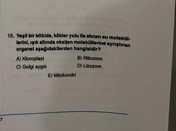 7
16. Yeşil bir bitkide, kökler yolu ile alınan su molekül-
lerini, ışık altında oksijen moleküllerine ayrıştıran
organel aşağıdakilerden hangisidir?
A) Kloroplast
C) Golgi aygıtı
E) Mitokondri
B) Ribozom
D) Lizozom