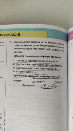 AN FİZYOLOJİSİ
solu-
num
nda
ve
u
ne
si-
Sonuç Yayınları
7. Soluk alış verişinin olabilmesi için akciğerlerin içindeki hava
basıncının değişmesi gerekir. Akciğerlerdeki hava basıncı di
yafram ve kaburgalar arası kasların kasılıp gevşemesi sonu-
cu değişir.
Soluk alma ve soluk verme olaylarıyla ilgili olarak;
1. Diyafram ve kaburgalar arası kaslar kasılır
Diyafram yukarı doğru hareket eder ve kubbeleşi
III. Kaburgaların uçları yukarı doğru hareket eder.
IV. Akciğerler kasılır. L
bilgilerinden hangileri soluk almada gerçekleşir?
A) Yalnız T
B+vetl
-D) Ive I
C) ve t
E) I, III ve IV
1.
2