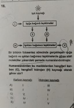 16.
Işıktan bağımsız tepkimeler
Bir bitkinin fotosentez sürecinde gerçekleşen işığa
bağımlı ve ışıktan bağımsız tepkimelerde görev alan
moleküller yukarıdaki şemada numaralandırılmıştır.
A)
(iv)
8)
Numaralandırılan bu maddelerden hangileri kar-
bon (C), hangileri hidrojen (H) kaynağı olarak
görev alır?
Karbon kaynağı
C)
D)
E)
Işık kaynağı
Işığa bağımlı tepkimeler
1
1
IV
IV
Hidrojen kaynağı
|||
IV