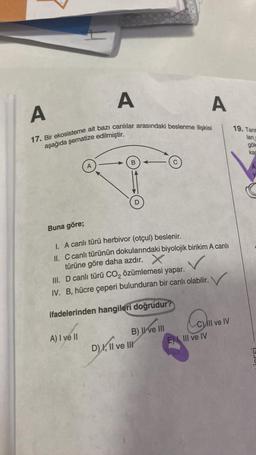 A
A
17. Bir ekosisteme ait bazı canlılar arasındaki beslenme ilişkisi
aşağıda şematize edilmiştir.
B
A) I ve II
Buna göre;
1. A canlı türü herbivor (otçul) beslenir.
II. C canlı türünün dokularındaki biyolojik birikim A canlı
türüne göre daha azdır. X
III. D canlı türü CO₂ özümlemesi yapar.
IV. B, hücre çeperi bulunduran bir canlı olabilir.
ifadelerinden hangileri doğrudur?
B) II ve III
D) I, II ve III
A
Cill ve IV
E), III ve IV
19. Tarin
ları
göld
kas
A
1599!