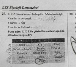 LYS Biyoloji Denemeleri
27. X, Y, Z canlılarının azotlu boşaltım ürünleri verilmiştir.
X canlısı → Amonyak
Baly
Y canlısı → Üre
Z canlısı → Ürik asit
Buna göre, X, Y, Z ile gösterilen canlılar aşağıda-
kilerden hangisidir?
A)
B) Toprak solucanı
C) Planarya
Balik
Yılan
Balik
(D)
E)
Kuş
Insan
Köpek balığı
Böcek
Köpek
Z
Insan
Böcek
Balik
Yilan
Balik
30. A
8