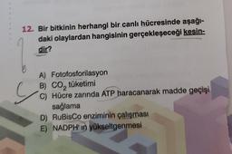 1
12. Bir bitkinin herhangi bir canlı hücresinde aşağı-
daki olaylardan hangisinin gerçekleşeceği kesin-
dir?
e
A) Fotofosforilasyon
B) CO₂ tüketimi
C) Hücre zarında ATP haracanarak madde geçişi
sağlama
D) RuBisCo enziminin çalışması
E) NADPH' in yükseltgenmesi